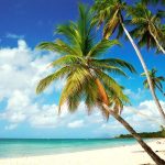 Lorem ipsum dolor sit amet, video 6